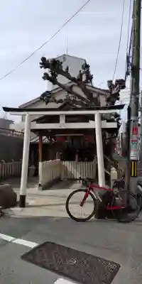 榎白上大神(大阪府)