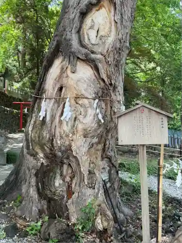 山名八幡宮(群馬県)