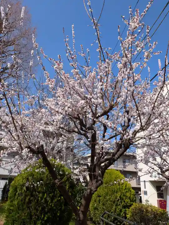 池尻稲荷神社(東京都)