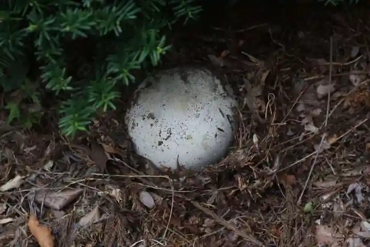 鹿島大神宮の自然