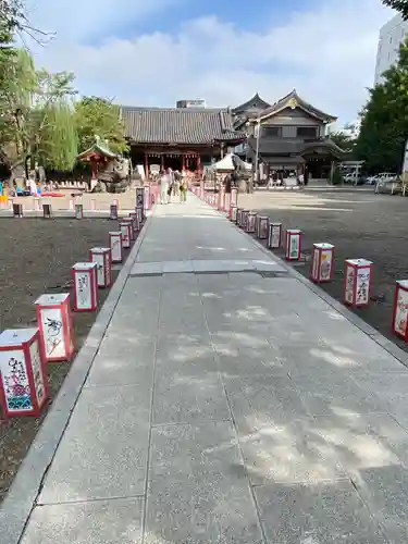 浅草神社のお祭り