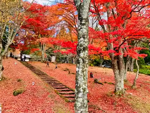 土津神社｜こどもと出世の神さまの景色