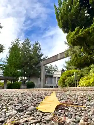 福井神社(福井県)