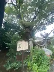 溝口神社(神奈川県)