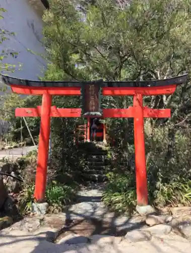 箱根神社の鳥居