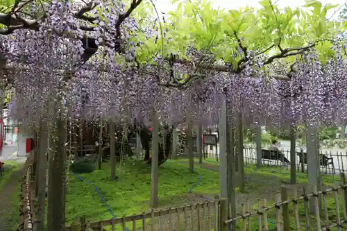 惣社神社(滋賀県)