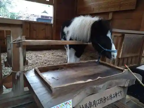 平塚八幡宮(神奈川県)