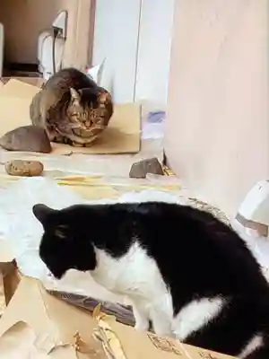 白金氷川神社(東京都)