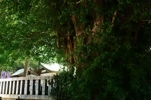 鶴嶺八幡宮(神奈川県)