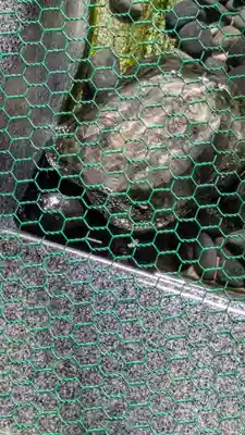 祐正寺(京都府)