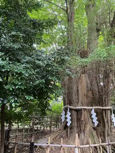 大國魂神社(東京都)