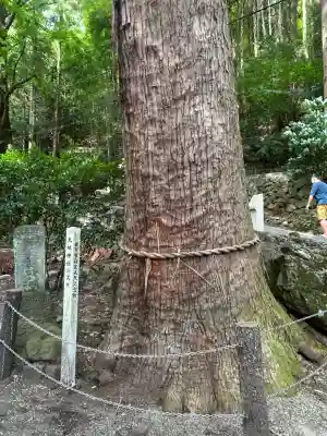 天祖神社(大分県)