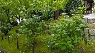 真正極楽寺(真如堂)(京都府)