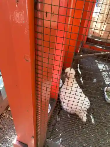 田無神社(東京都)