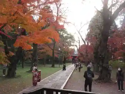 東漸寺(千葉県)