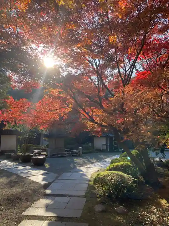 覚園寺(神奈川県)