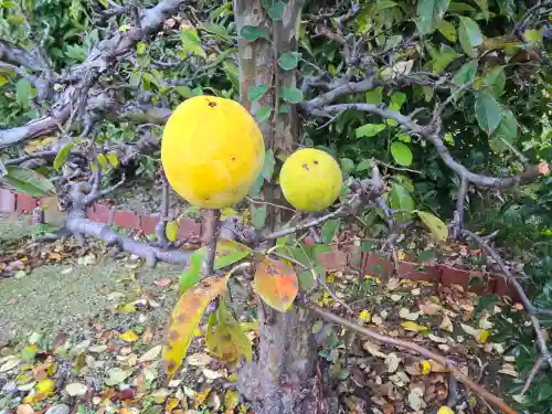 慶運寺(奈良県)