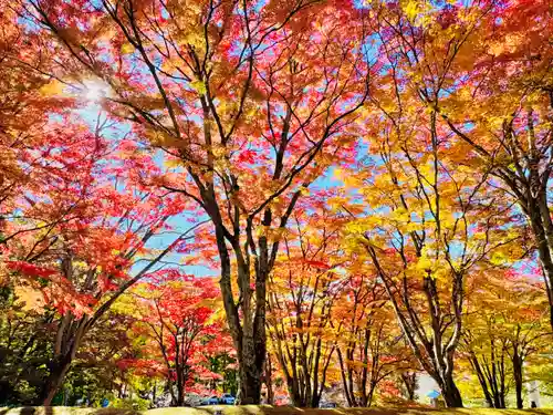 土津神社｜こどもと出世の神さま(福島県)