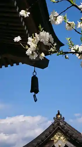 金蔵院のその他建物