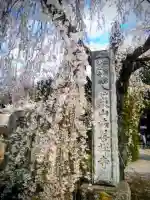 法善寺の{uncategorized: "未分類", other: "その他", undefined: "問題あり", building: "その他建物", grave: "お墓", sacred_gate: "鳥居", guardian: "狛犬", statue: "像", buddha: "仏像", history: "歴史", nature: "自然", garden: "庭園", animal: "動物", pagoda: "塔", temizu: "手水舎", mountain_gate: "山門・神門", sanctuary: "本殿・本堂", subordinate: "末社・摂社", art: "芸術", scenery: "景色", jizo: "地蔵", ema: "絵馬", goshuin: "御朱印", omikuji: "おみくじ", items: "授与品その他", amulet: "お守り", goshuincho: "御朱印帳", eats: "食事", festival: "お祭り", votive_dance: "神楽", shichigosan: "七五三参", wedding: "結婚式", experience: "体験その他", initially: "初詣", around: "周辺", anti_infection: "感染症対策"}