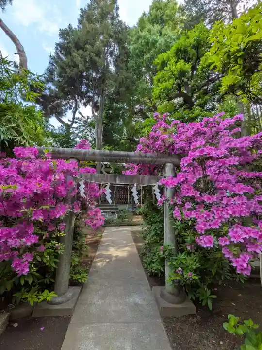 鳩森八幡神社(東京都)