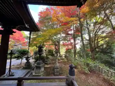 柳谷観音　楊谷寺(京都府)