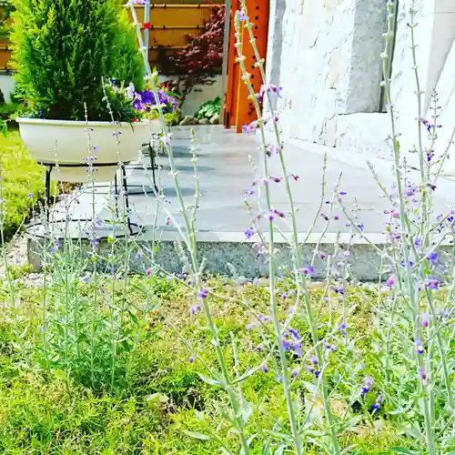 寿量山　速成寺の庭園