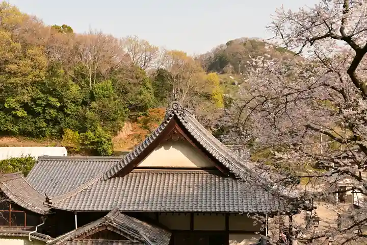 掌禅寺(愛媛県)