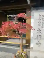 大行寺(京都府)