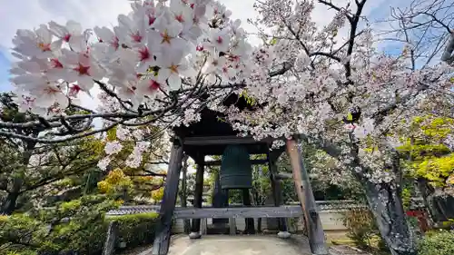 蓮華寺(京都府)