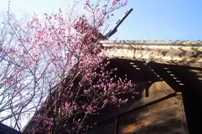 ときわ台天祖神社のその他建物