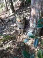 玉野御嶽神社の動物