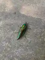 瀧宮神社(広島県)