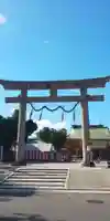 難波大社 生國魂神社の鳥居