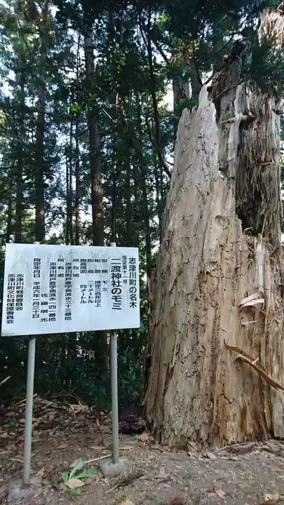 二渡神社の自然