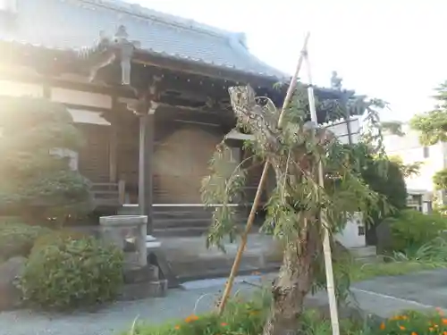 本興寺の本殿・本堂