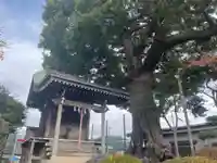 浅間神社 (久保)(神奈川県)