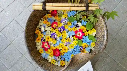 美瑛神社の手水