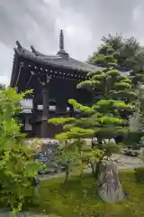 崇福寺(岐阜県)