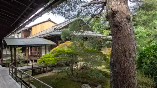 大心院(京都府)