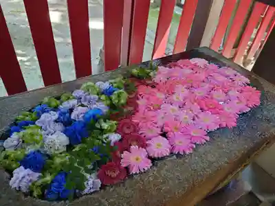 白山神社(新潟県)