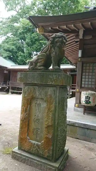 常陸國總社宮の狛犬