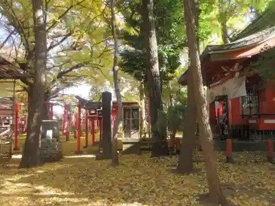 鬼子母神堂　(法明寺）(東京都)