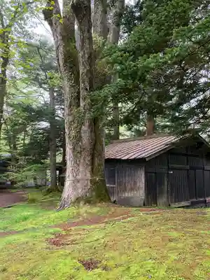 諏訪神社の自然