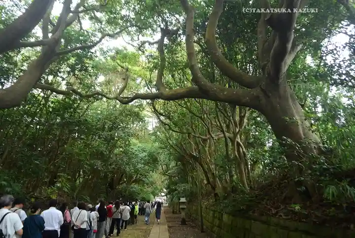 酒列磯前神社(茨城県)