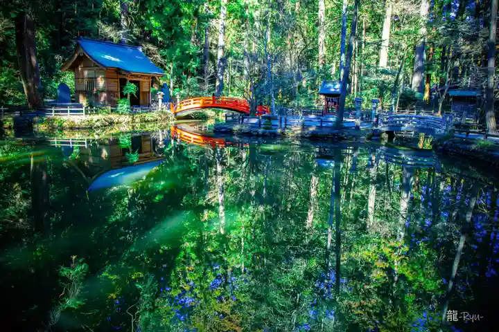 小國神社(静岡県)