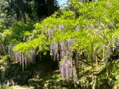 歌泉堂（春日大社神苑萬葉植物園内鎮座）(奈良県)