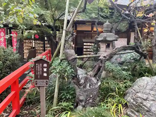 愛宕神社の庭園