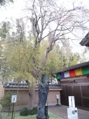 真光寺(千葉県)