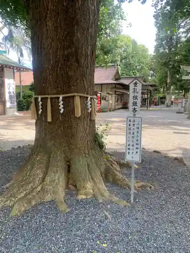 薬師寺八幡宮(栃木県)